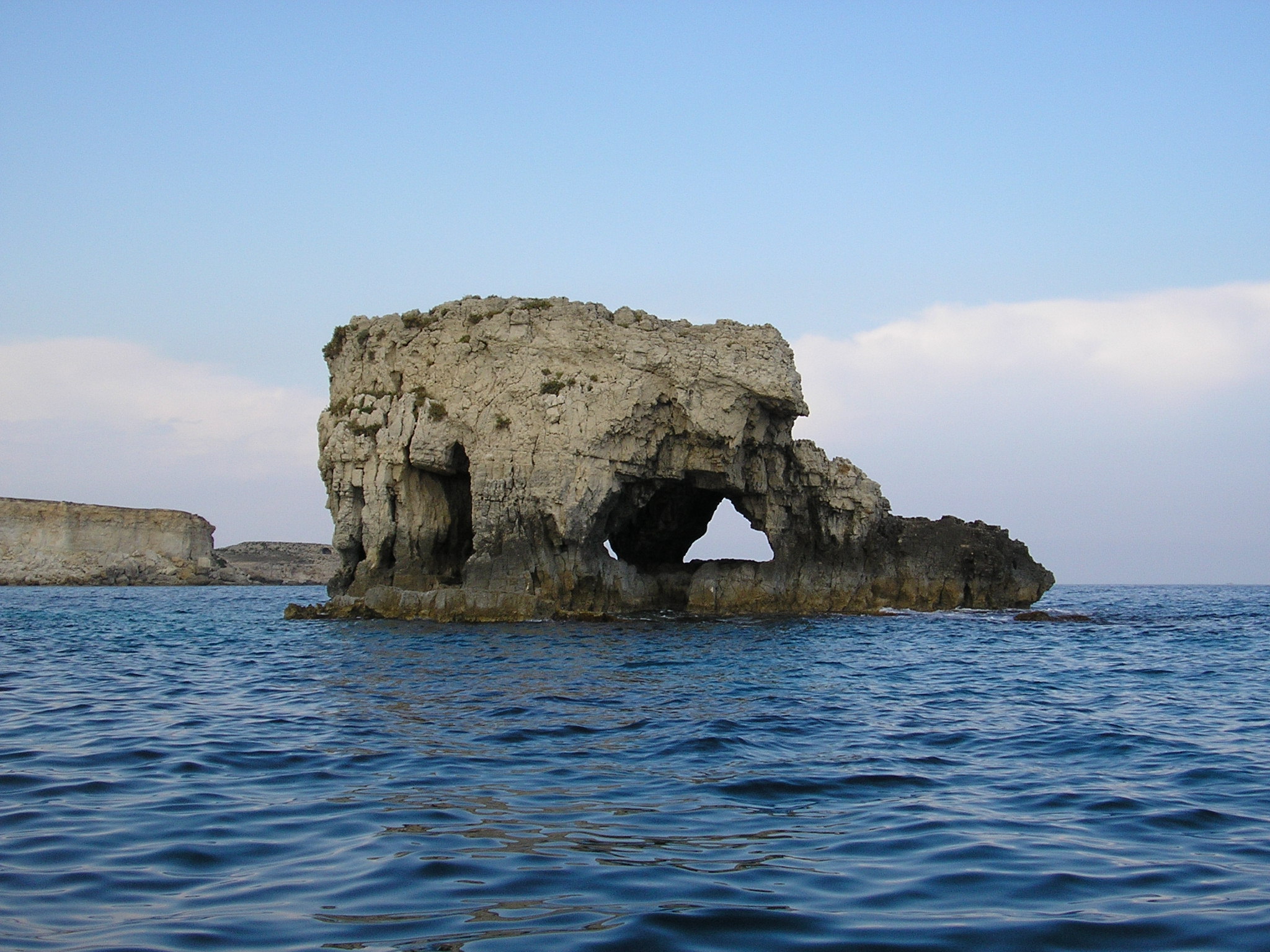 The Elephant/Syracuse